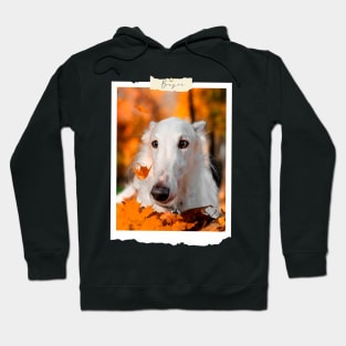 borzoi photo Hoodie